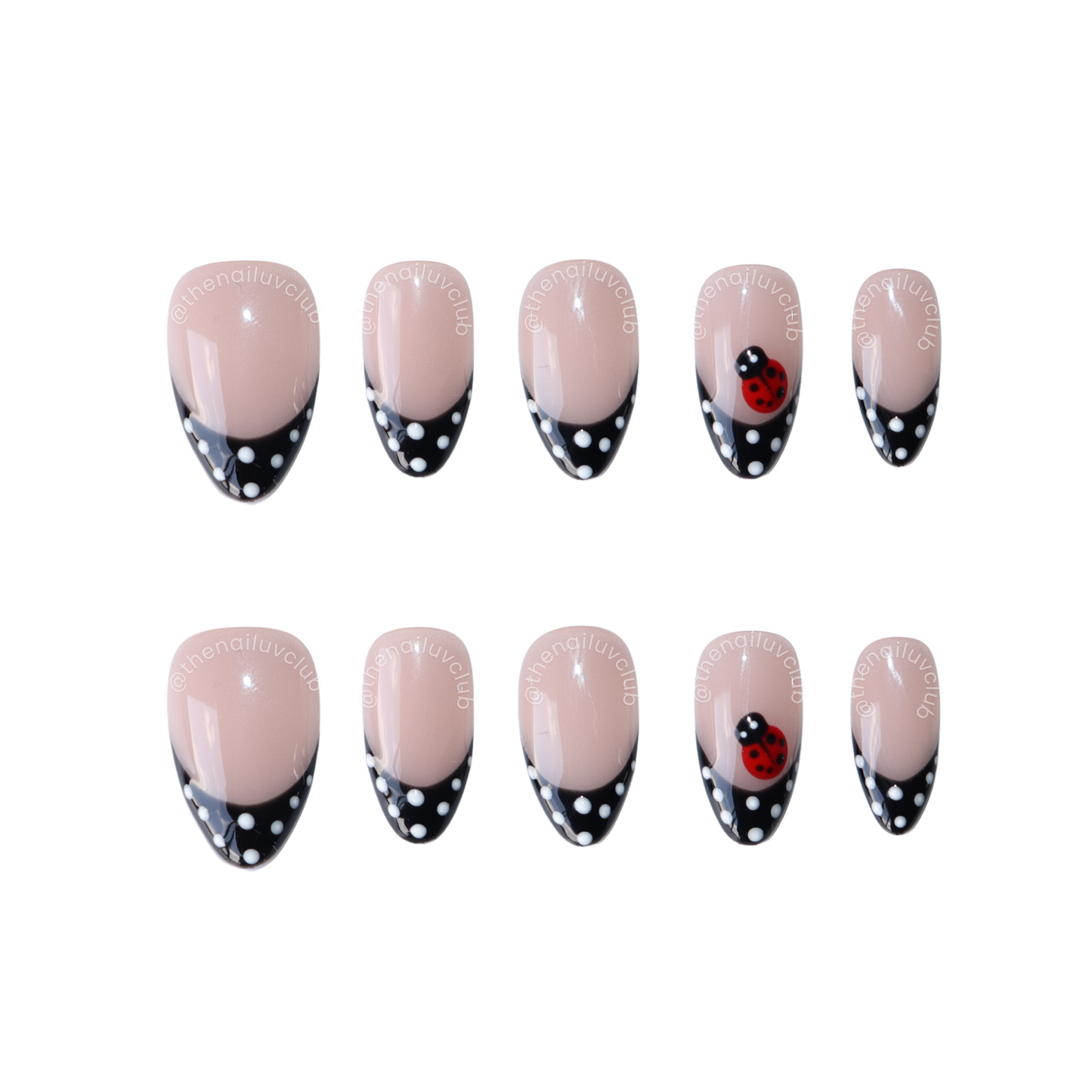 Polka Ladybug